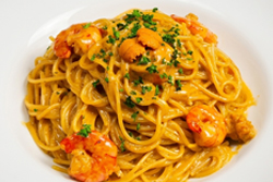 【クリームソース】海老と雲丹